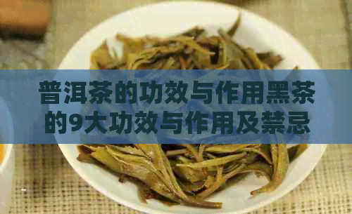 普洱茶的功效与作用黑茶的9大功效与作用及禁忌：探究普洱黑茶的独特价值