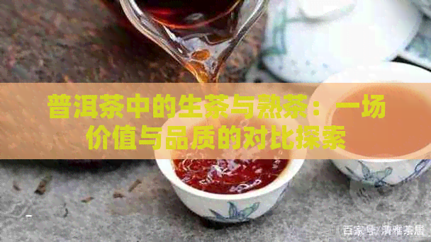 普洱茶中的生茶与熟茶：一场价值与品质的对比探索