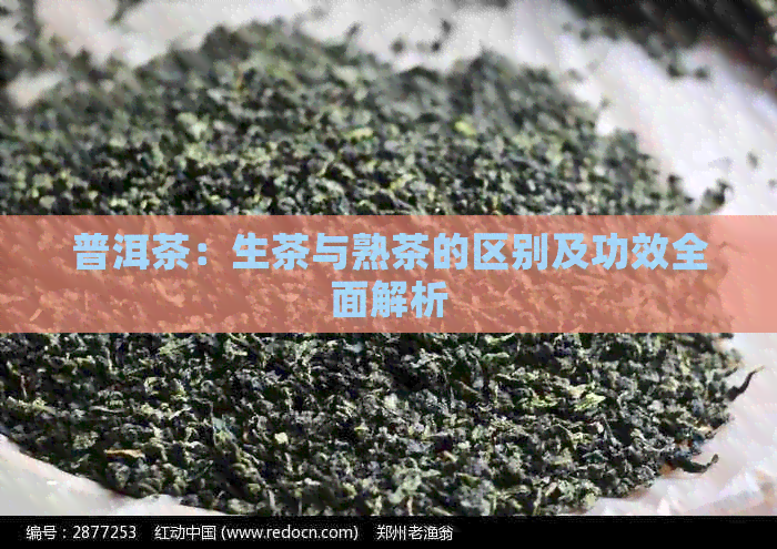 普洱茶：生茶与熟茶的区别及功效全面解析