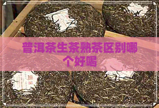 普洱茶生茶熟茶区别哪个好喝