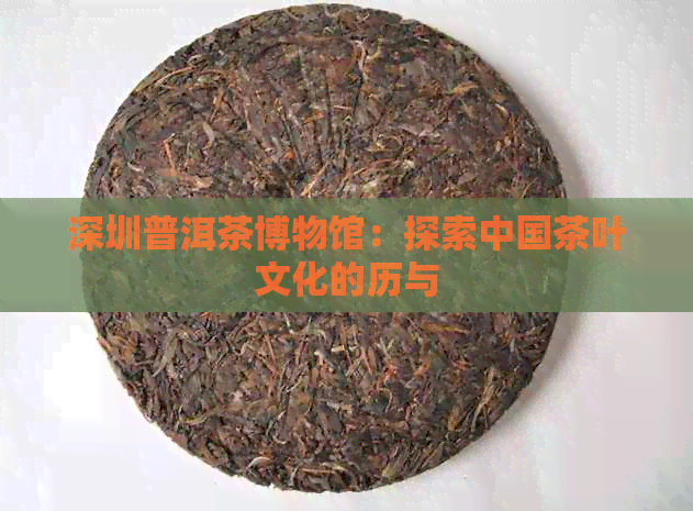 深圳普洱茶博物馆：探索中国茶叶文化的历与