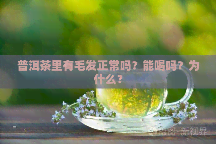 普洱茶里有毛发正常吗？能喝吗？为什么？