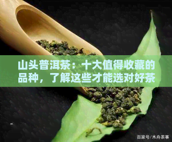 山头普洱茶：十大值得收藏的品种，了解这些才能选对好茶