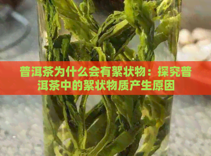 普洱茶为什么会有絮状物：探究普洱茶中的絮状物质产生原因