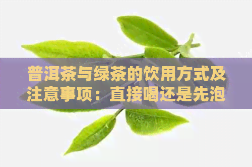 普洱茶与绿茶的饮用方式及注意事项：直接喝还是先泡再喝？