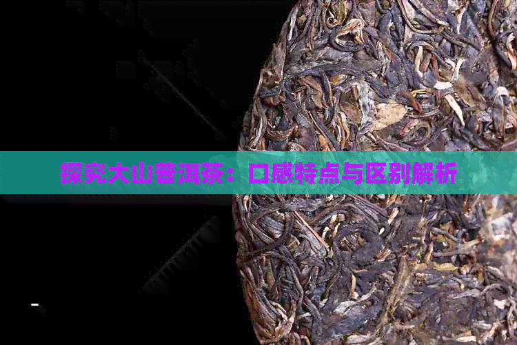 探究大山普洱茶：口感特点与区别解析