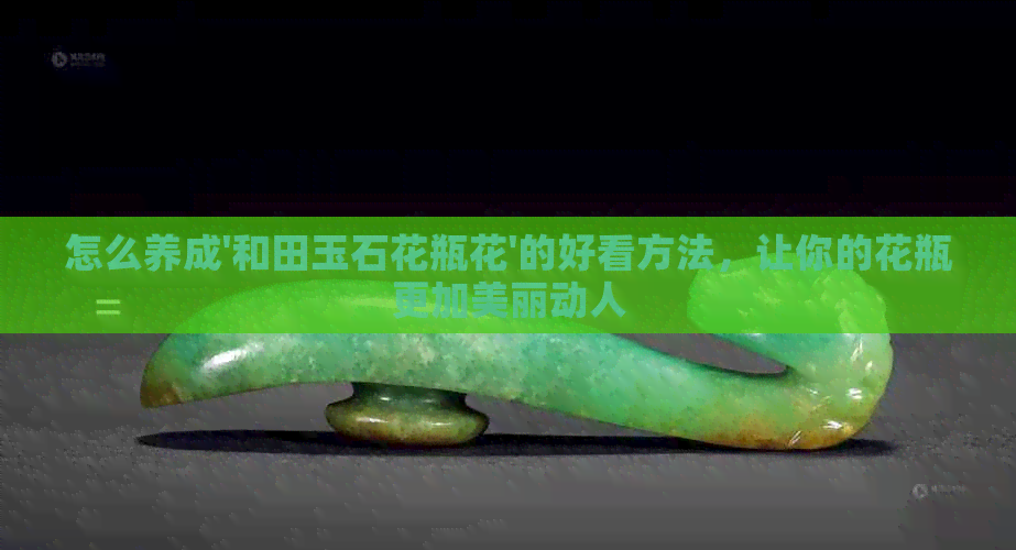 怎么养成'和田玉石花瓶花'的好看方法，让你的花瓶更加美丽动人