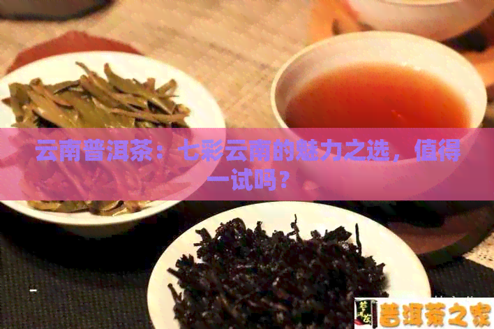 云南普洱茶：七彩云南的魅力之选，值得一试吗？