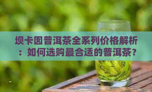 坝卡囡普洱茶全系列价格解析：如何选购最合适的普洱茶？