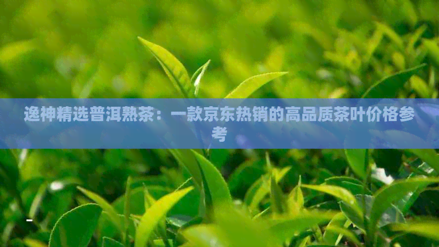 逸神精选普洱熟茶：一款京东热销的高品质茶叶价格参考