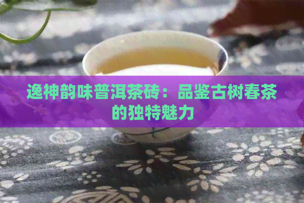 逸神韵味普洱茶砖：品鉴古树春茶的独特魅力