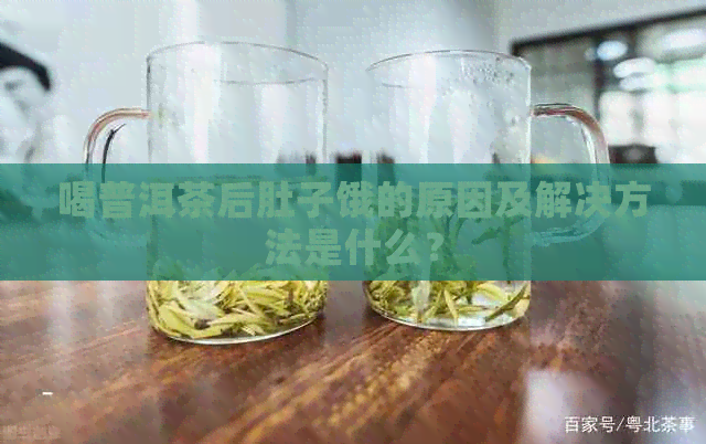 喝普洱茶后肚子饿的原因及解决方法是什么？