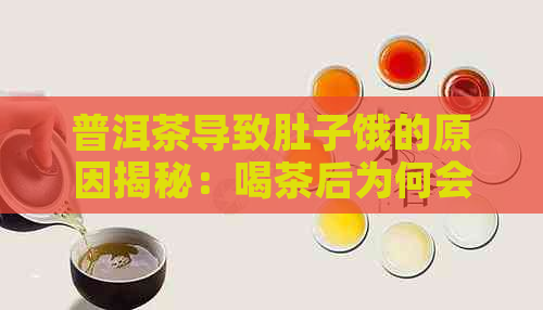 普洱茶导致肚子饿的原因揭秘：喝茶后为何会感到饥饿？