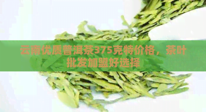 云南优质普洱茶375克特价格，茶叶批发加盟好选择