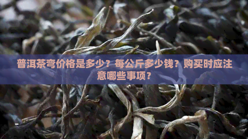 普洱茶弯价格是多少？每公斤多少钱？购买时应注意哪些事项？