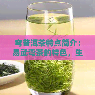 弯普洱茶特点简介：易武弯茶的特色，生茶价格与百度百科信息