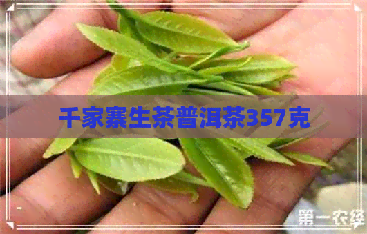 千家寨生茶普洱茶357克