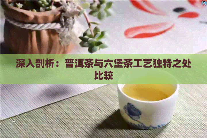 深入剖析：普洱茶与六堡茶工艺独特之处比较