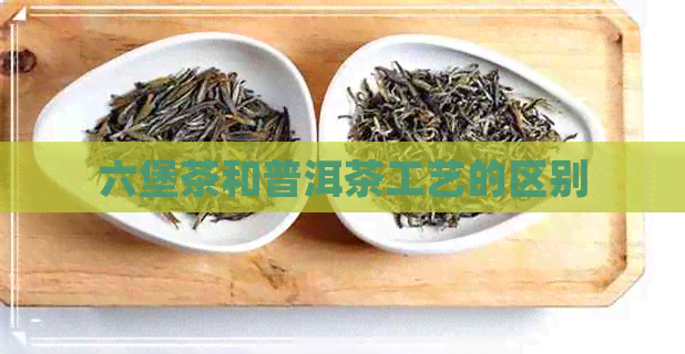 六堡茶和普洱茶工艺的区别