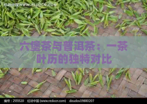 六堡茶与普洱茶：一茶叶历的独特对比