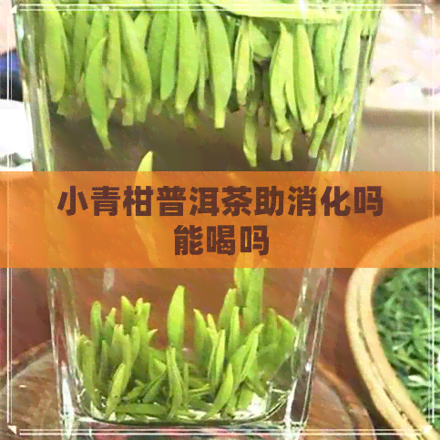 小青柑普洱茶助消化吗能喝吗