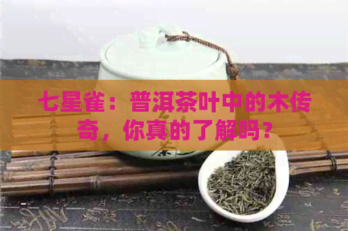 七星雀：普洱茶叶中的木传奇，你真的了解吗？