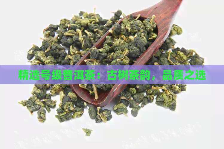 精选号级普洱茶：古树茶韵，品质之选