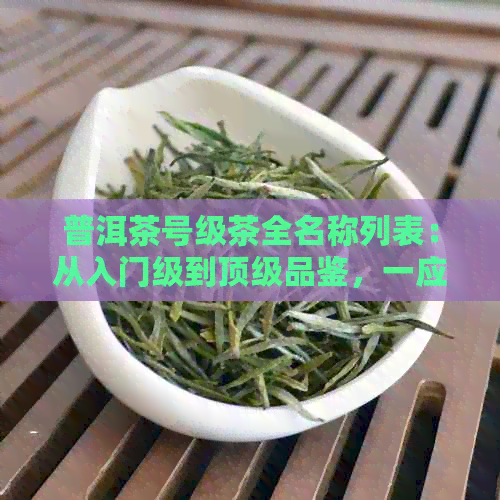 普洱茶号级茶全名称列表：从入门级到顶级品鉴，一应俱全的茶品解析