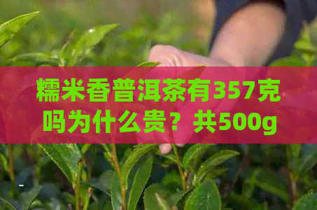 糯米香普洱茶有357克吗为什么贵？共500g的糯米香普洱茶多少钱一斤？