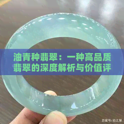 油青种翡翠：一种高品质翡翠的深度解析与价值评估