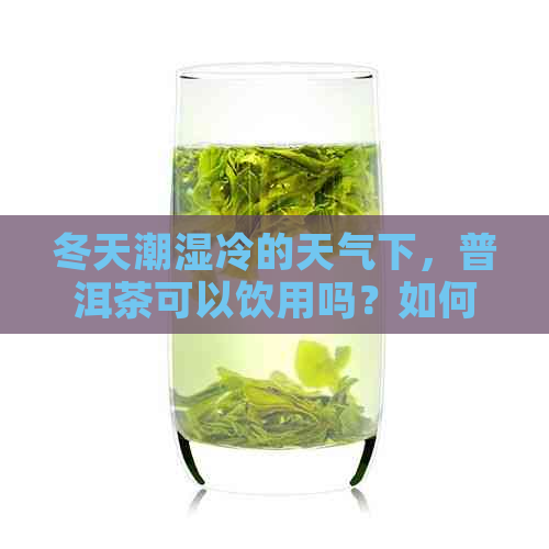 冬天潮湿冷的天气下，普洱茶可以饮用吗？如何存放？