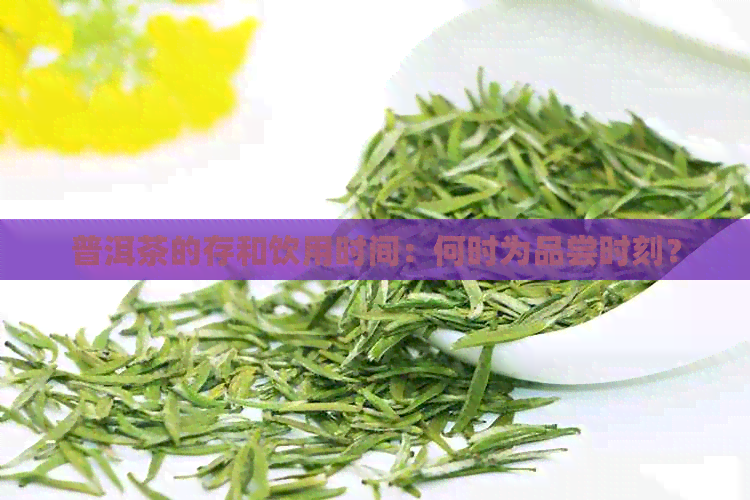 普洱茶的存和饮用时间：何时为品尝时刻？