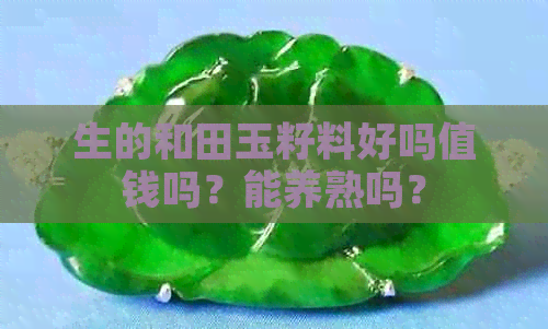 生的和田玉籽料好吗值钱吗？能养熟吗？