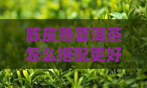 陈皮熟普洱茶怎么搭配更好喝？