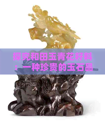 探究和田玉青花籽料：一种珍贵的玉石品种及其独特魅力