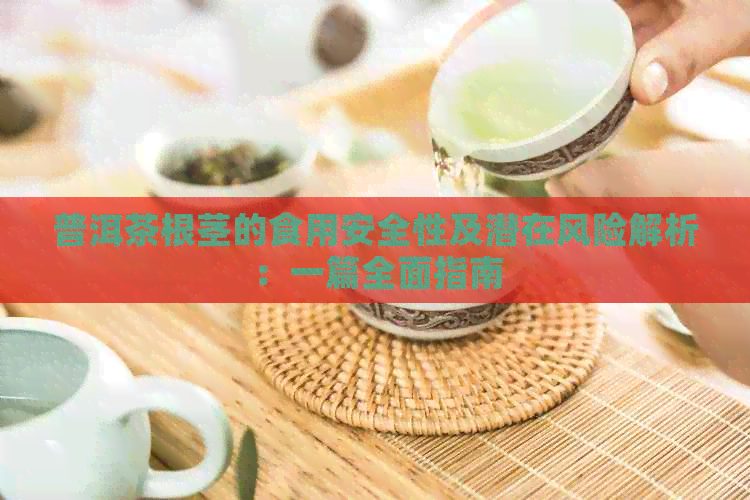 普洱茶根茎的食用安全性及潜在风险解析：一篇全面指南