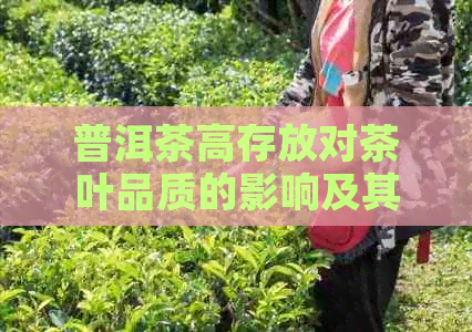 普洱茶高存放对茶叶品质的影响及其相关因素探讨