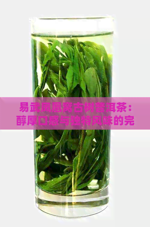 易武凤凰窝古树普洱茶：醇厚口感与独特风味的完美结合