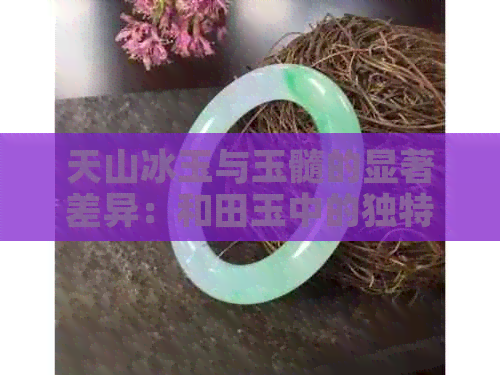 天山冰玉与玉髓的显著差异：和田玉中的独特宝石