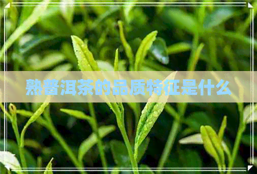 熟普洱茶的品质特征是什么