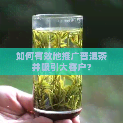 如何有效地推广普洱茶并吸引大客户？