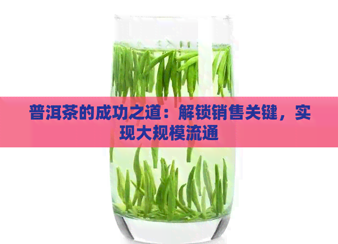 普洱茶的成功之道：解锁销售关键，实现大规模流通