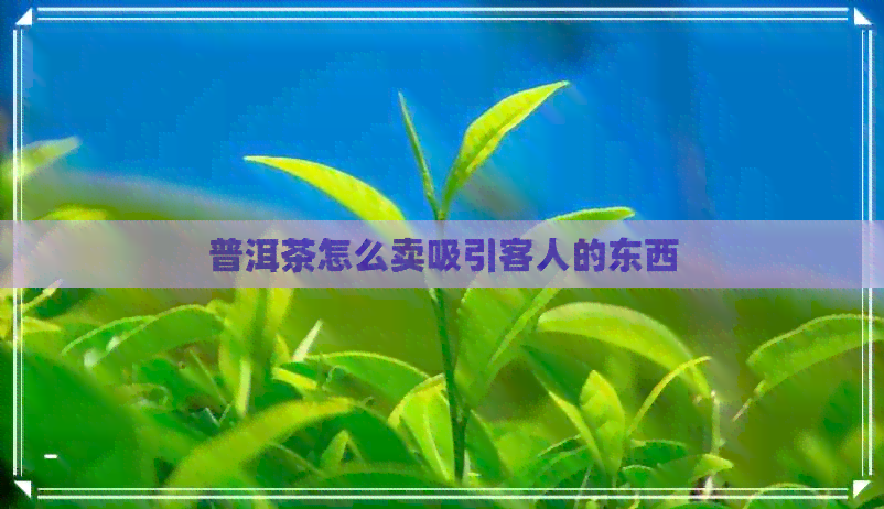 普洱茶怎么卖吸引客人的东西