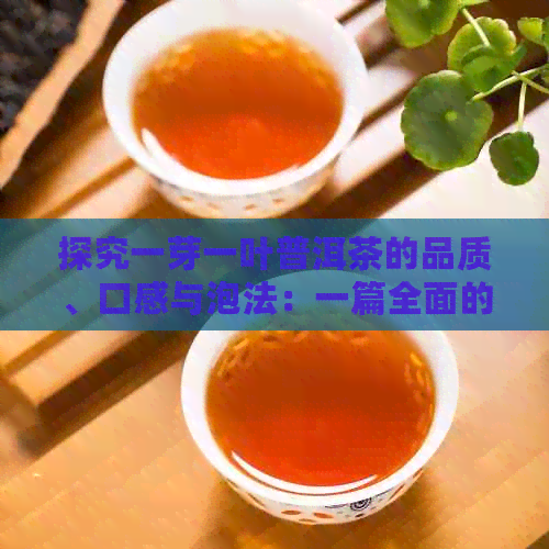 探究一芽一叶普洱茶的品质、口感与泡法：一篇全面的入门指南