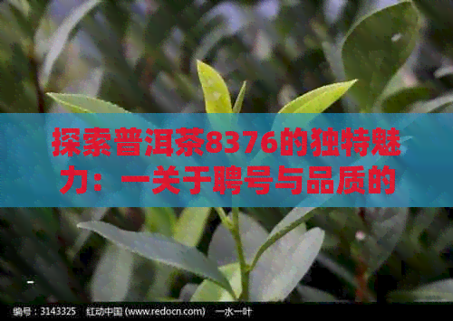 探索普洱茶8376的独特魅力：一关于聘号与品质的故事