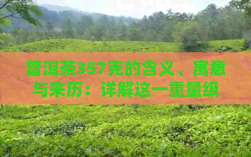 普洱茶357克的含义、寓意与来历：详解这一重量级普洱茶的价值与意义