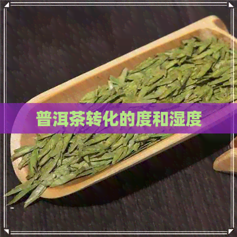 普洱茶转化的度和湿度