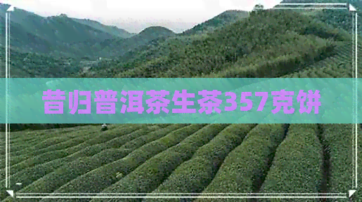 昔归普洱茶生茶357克饼