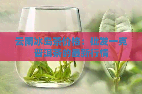 云南冰岛茶价格：批发一克普洱茶的最新行情