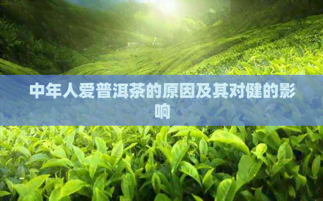 中年人爱普洱茶的原因及其对健的影响